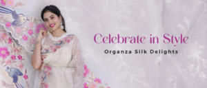 Organza-Silk-Sarees-by-Chinaya-Banaras