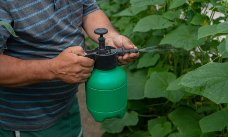 Foliar Spray Market