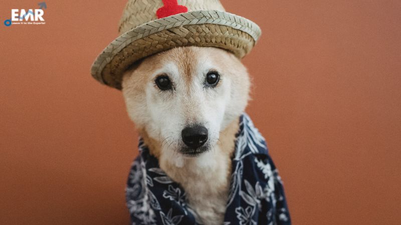 Mercado de Ropa para Mascotas