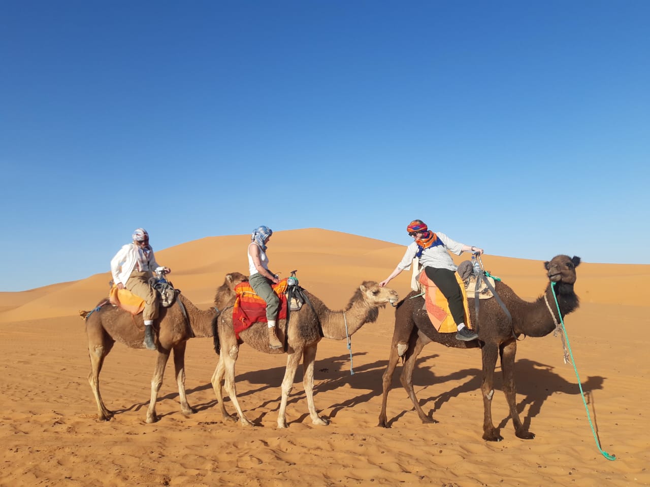 Erg Chebbi camel trekking