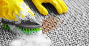 Carpet & upholstery Cleaning staten island