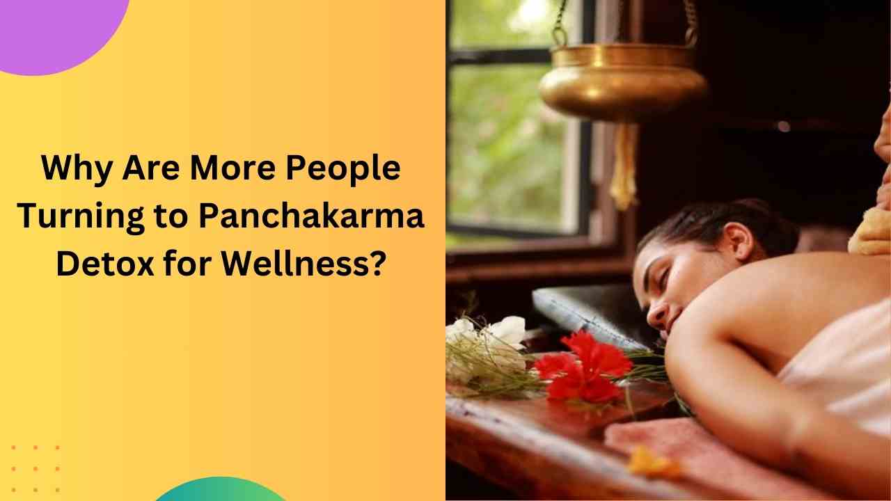 Why Are More People Turning to Panchakarma Detox for Wellness?