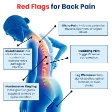 Back pain relief