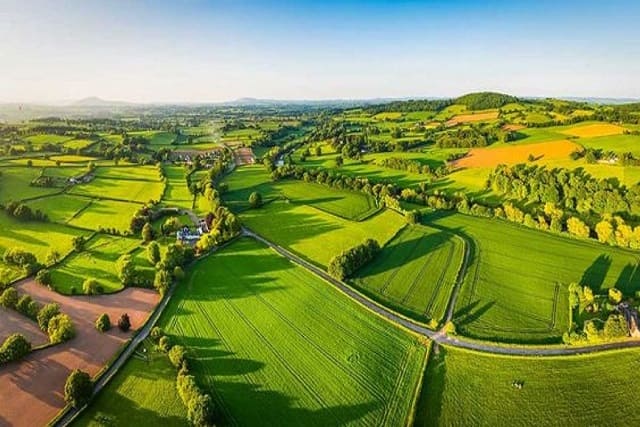 KNS Plots Nelamangala