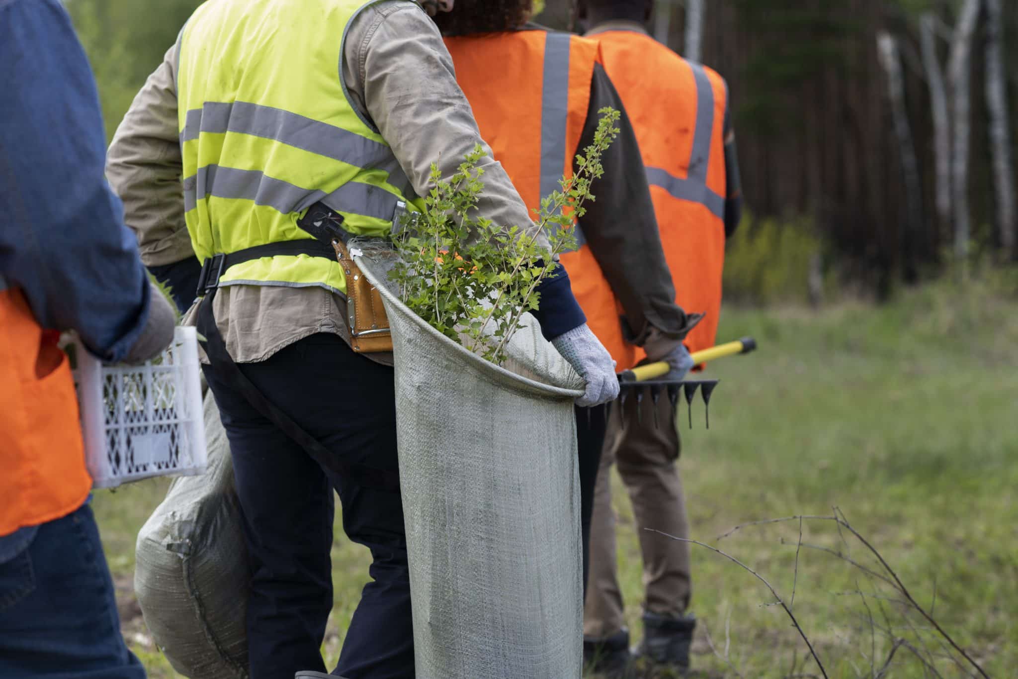 tree stump grinding service​