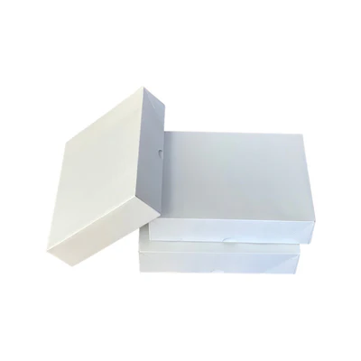  custom letterhead envelopes